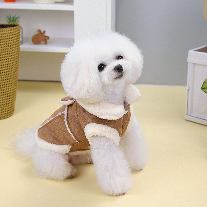 Maltese 2025 dog coat