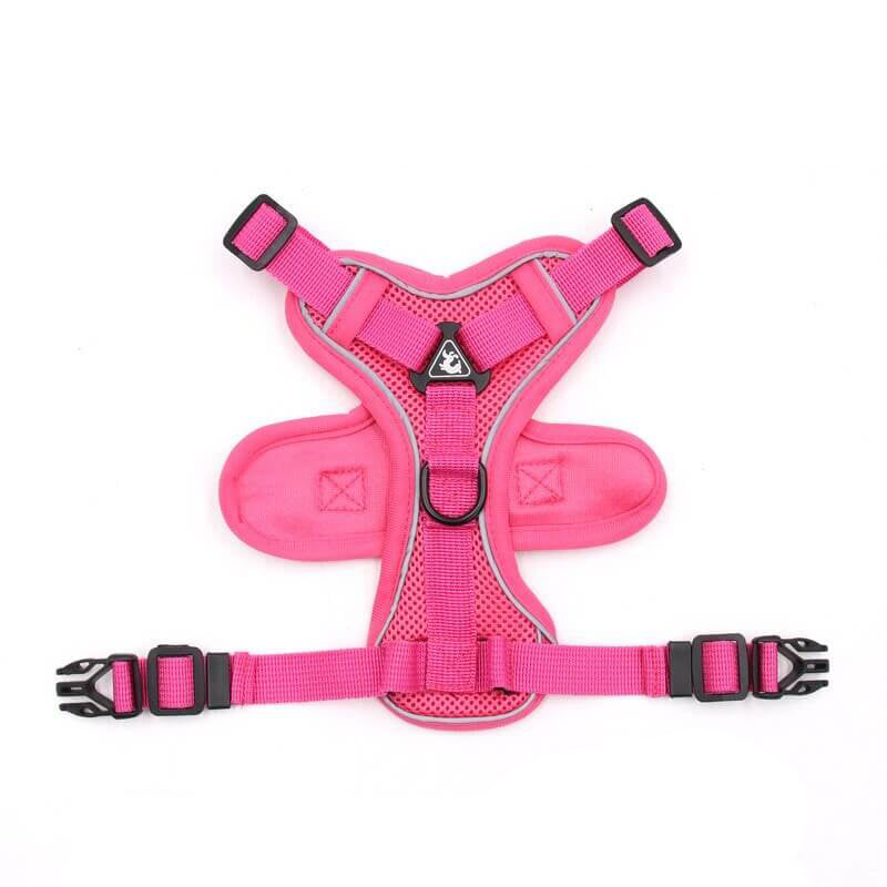 Maltese Harness & Leash