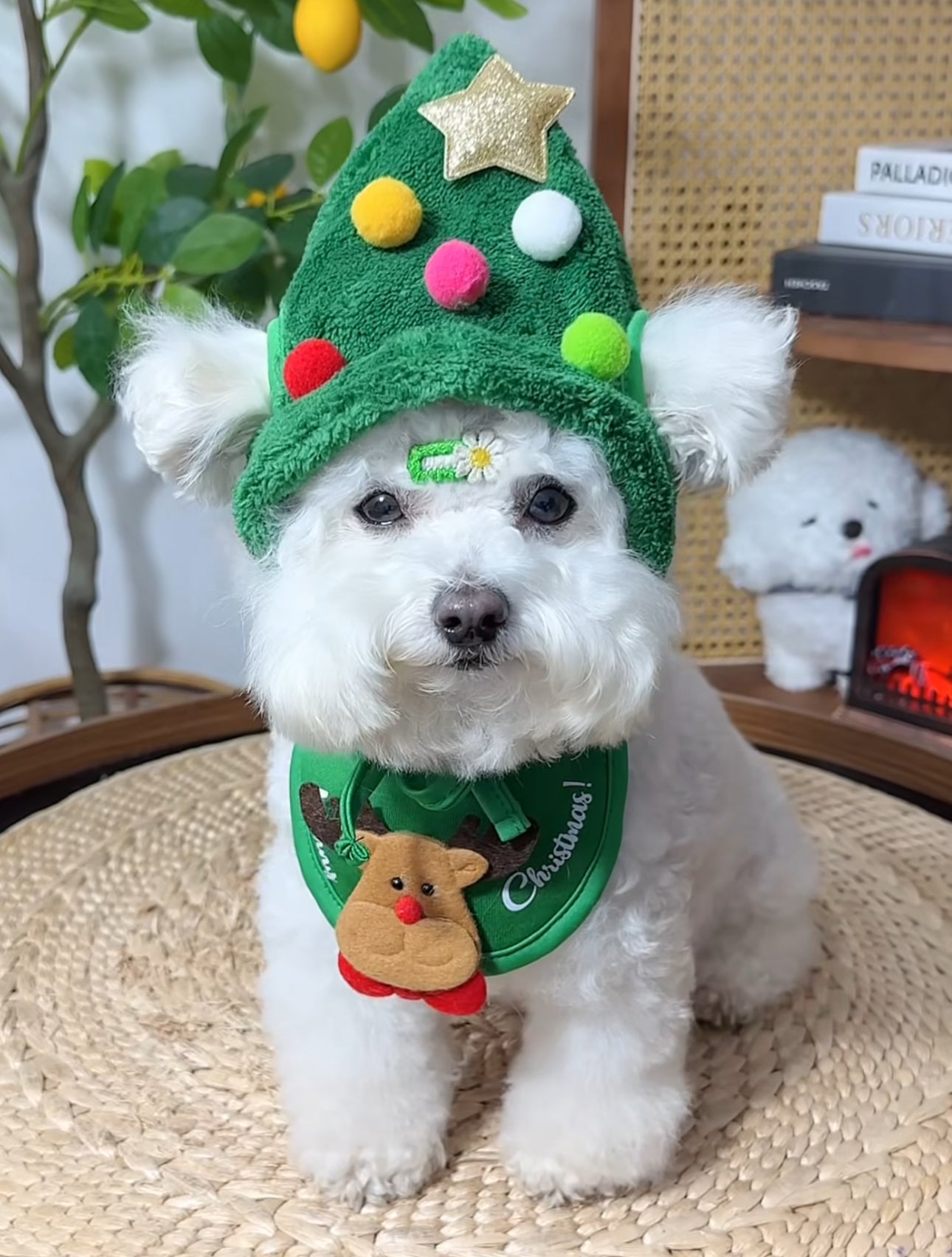 Christmas Hat & Bandana