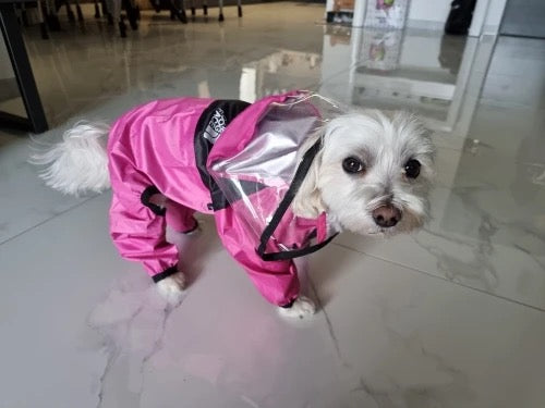 Maltese Raincoat