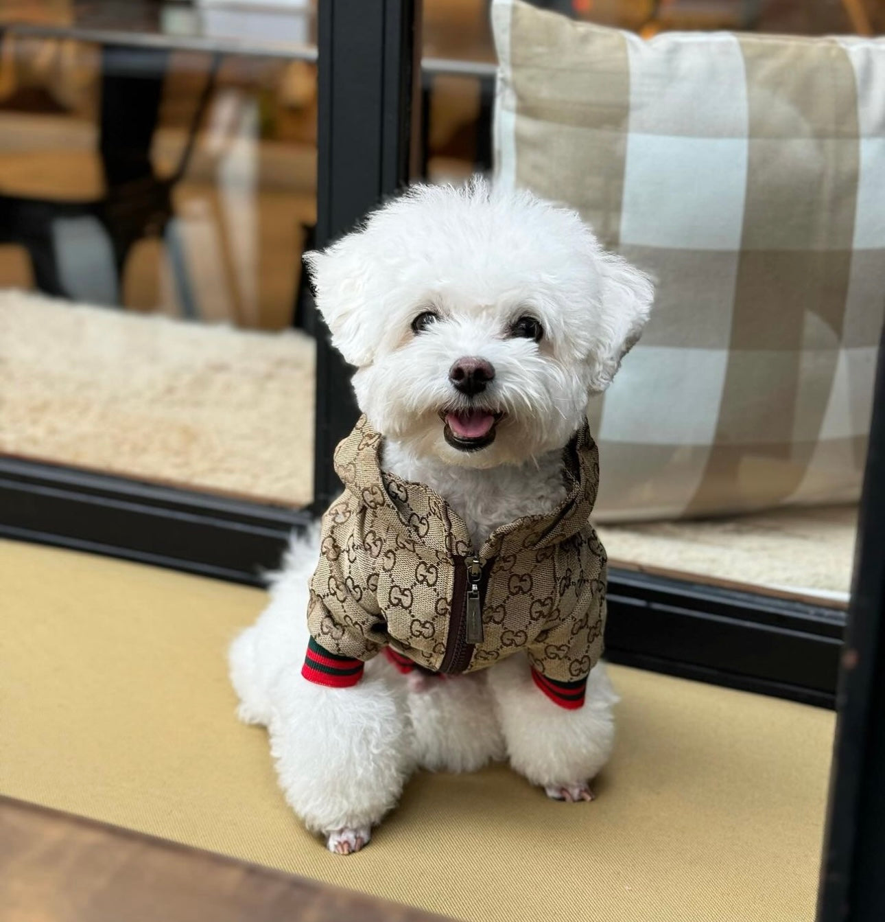 Pawcci Jacket