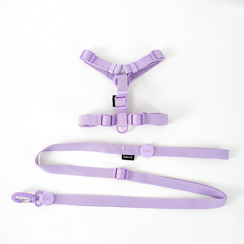 Pastel Leash and Harness Set