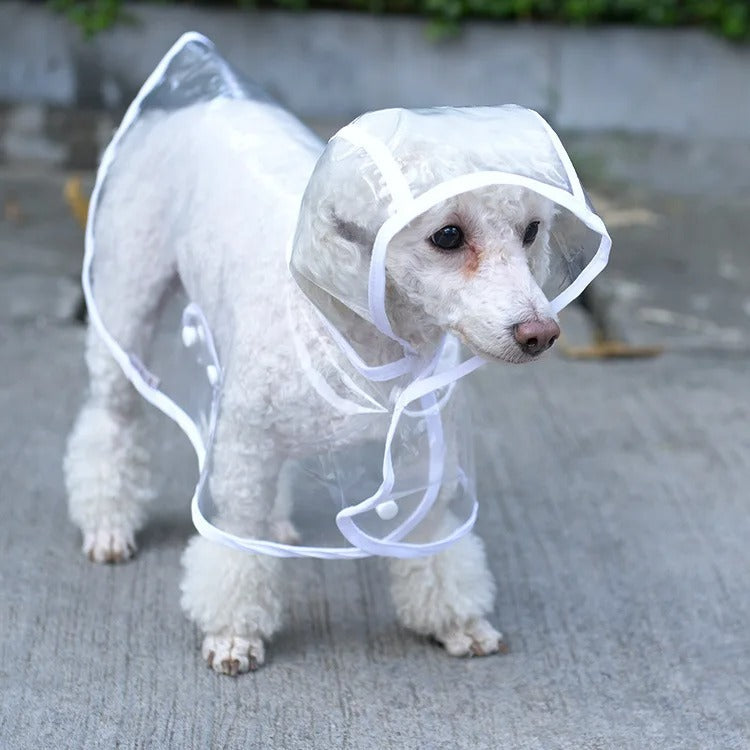 Transparent Dog Raincoat