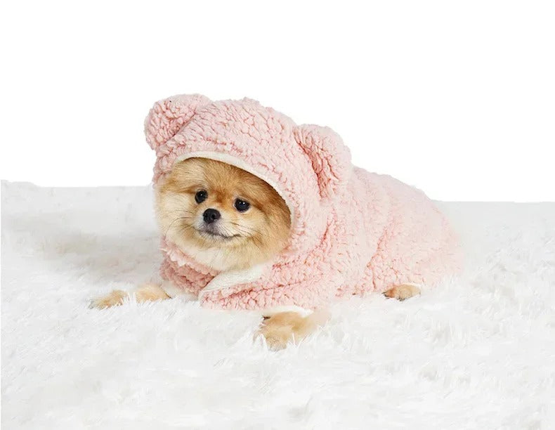 Dog Winter Blanket