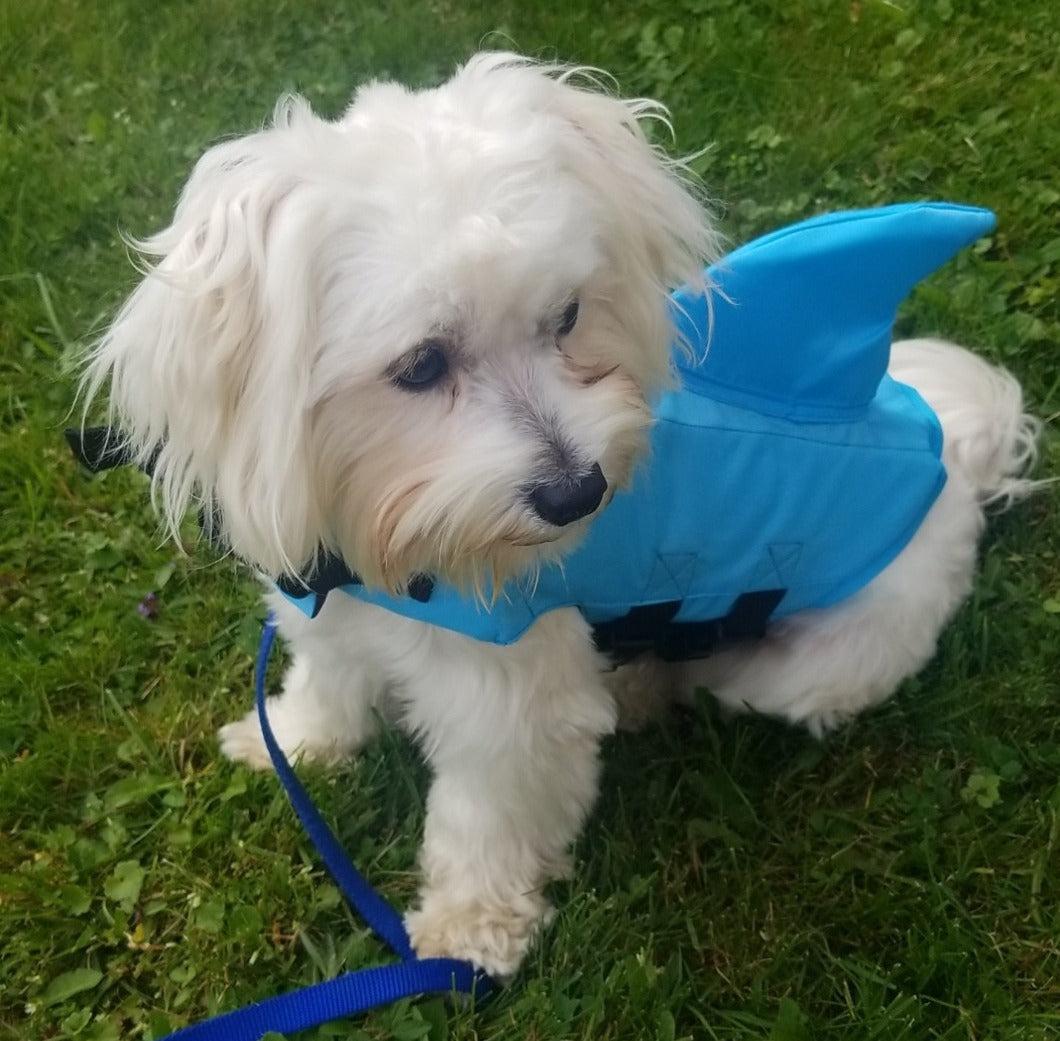 Shark dog life outlet jacket