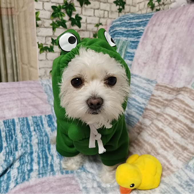 Maltese Dog Costumes