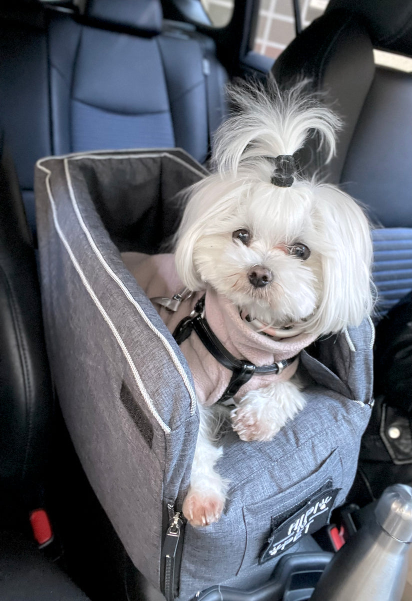 Portable Maltese Dog Car Seat – Maltese Community