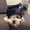 Maltese Velour Dog Hoodie