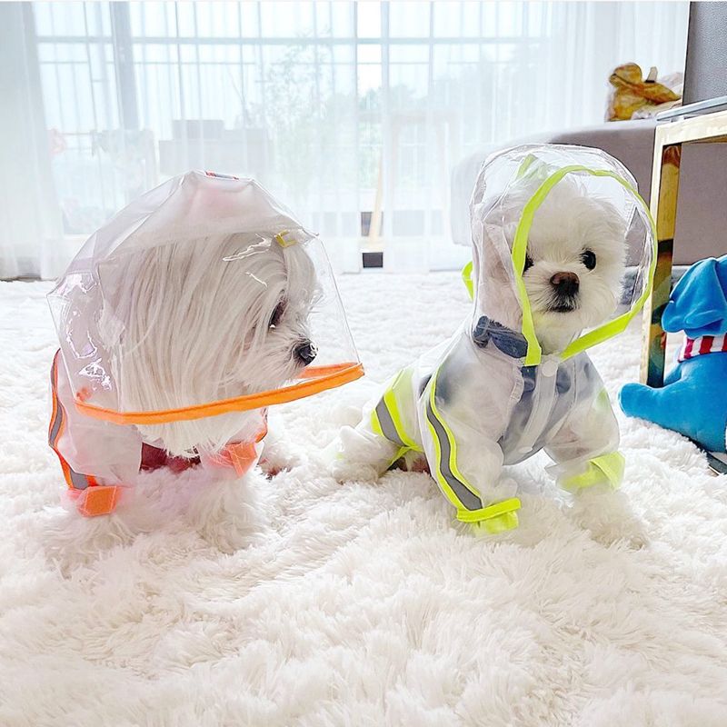 Cute Maltese Dog Raincoats