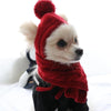 Maltese Dog Polar Hat