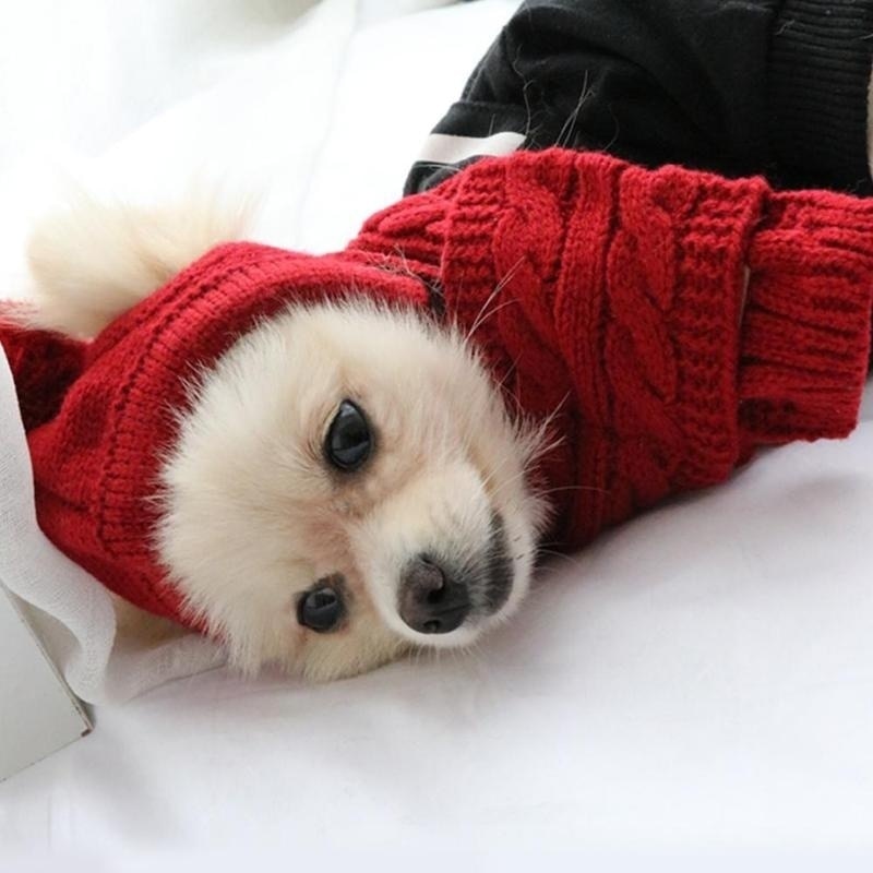 Maltese Dog Polar Hat