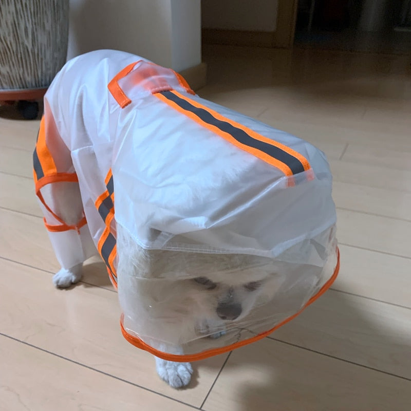 Cute Maltese Dog Raincoats