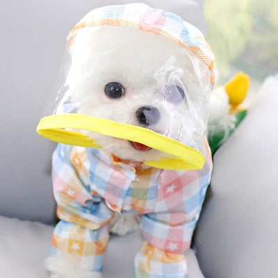 Cute Maltese Dog Raincoats