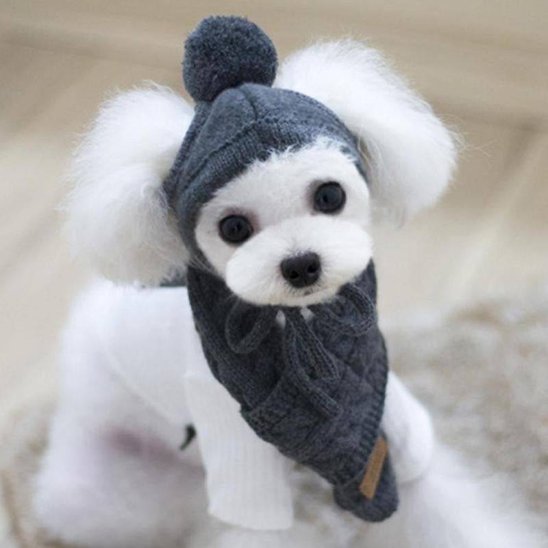 Maltese Dog Polar Hat