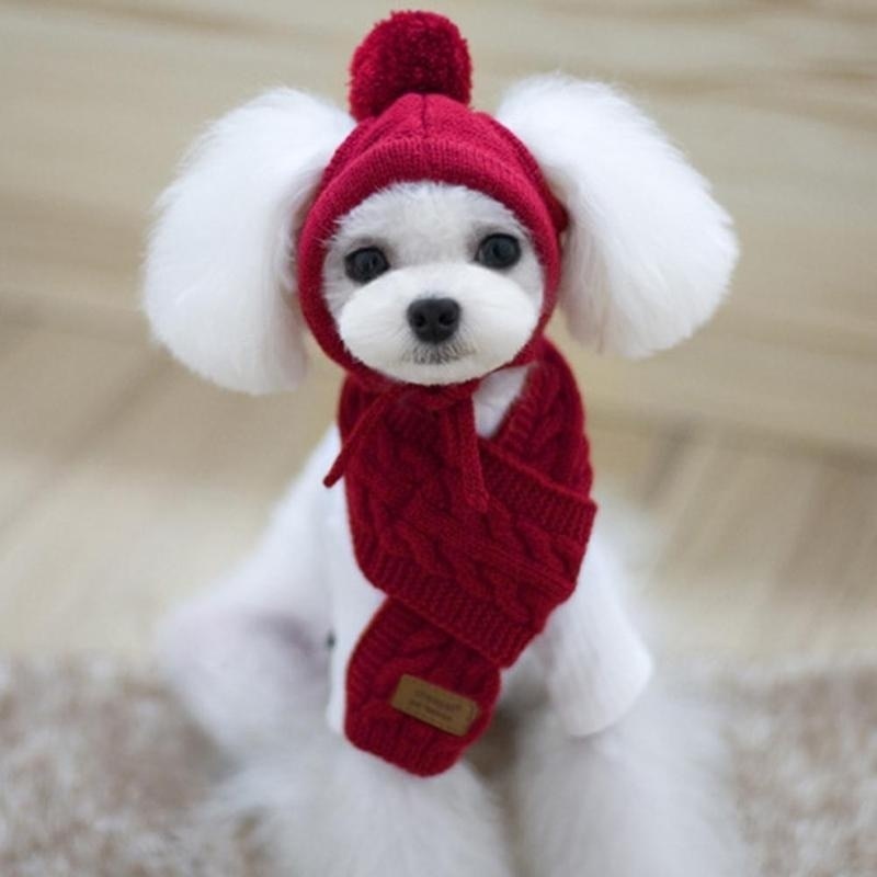 Maltese Dog Polar Hat