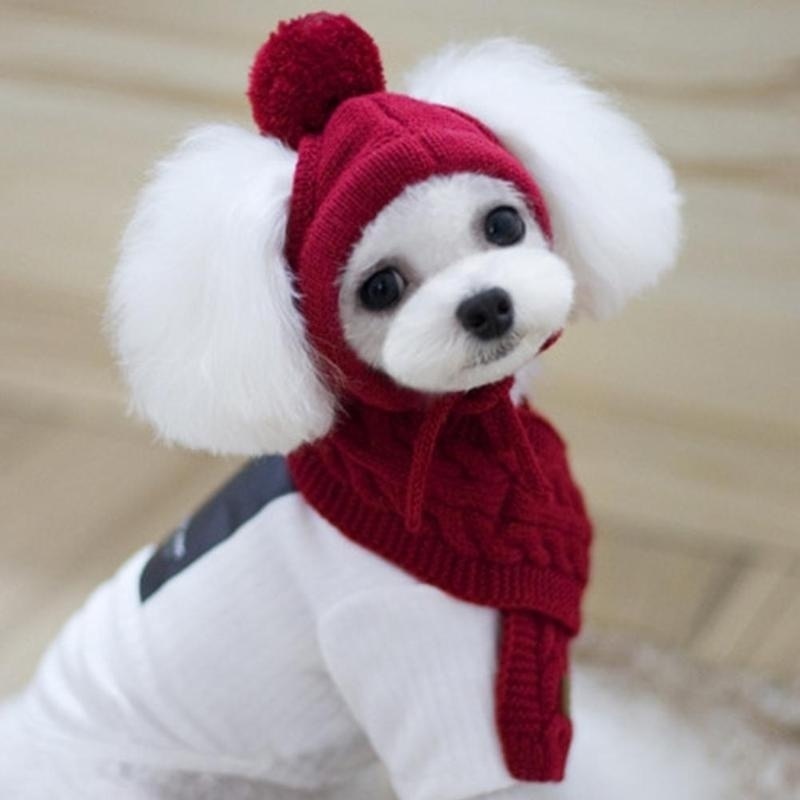 Maltese Dog Polar Hat