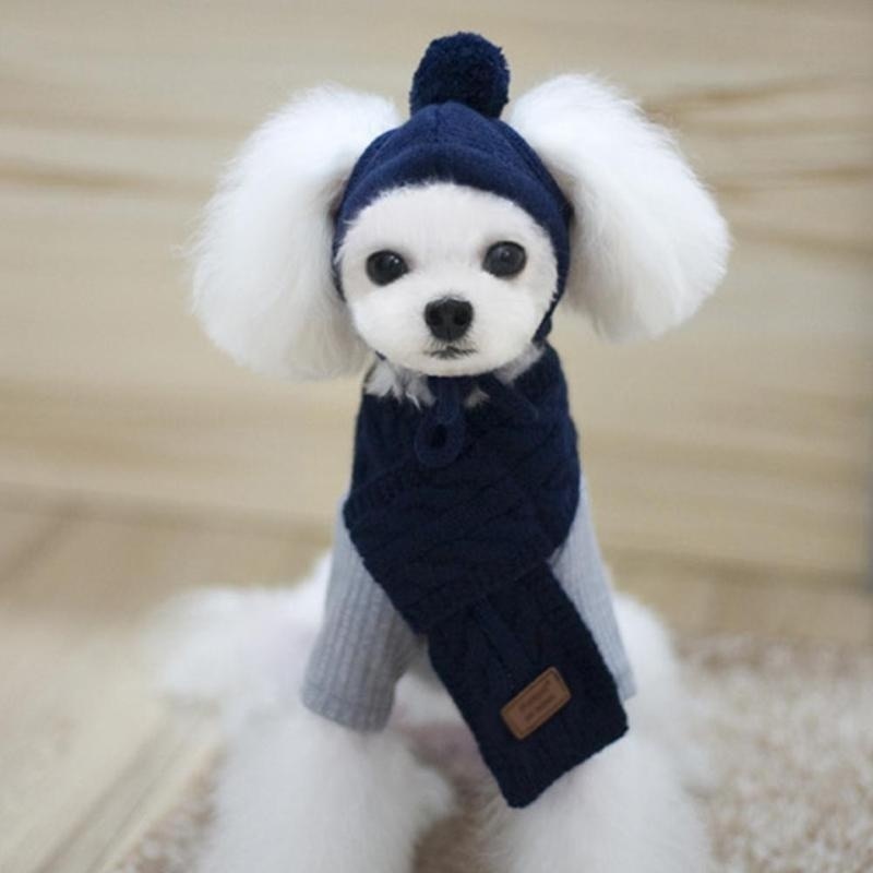 Maltese Dog Polar Hat