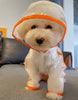 Cute Maltese Dog Raincoats